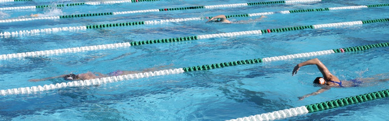 swimmers swimming