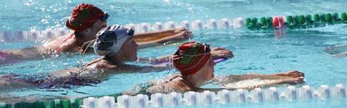 Three swimmers in the pool kicking